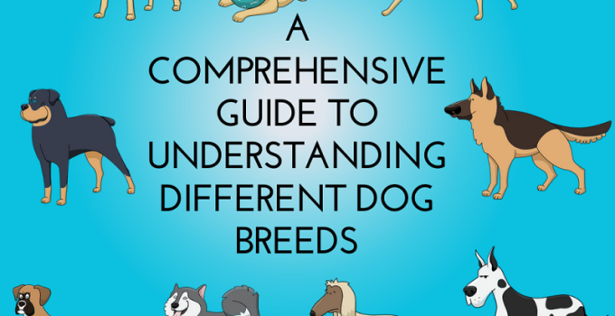 A Comprehensive Guide to Understanding Different Dog Breeds